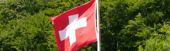 La Cour européenne des droits de l’homme reproche à la Suisse d'avoir expulsé un violeur Kosovar