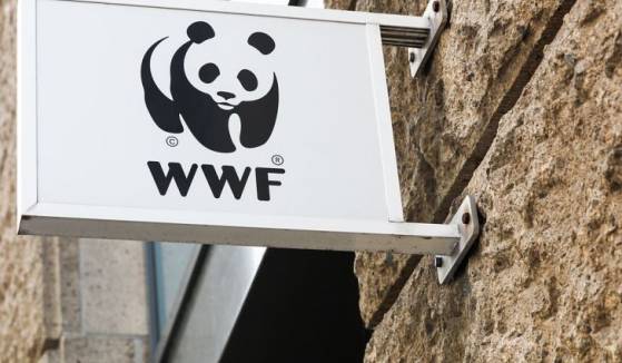 L'association WWF est accusée de soutenir des programmes de stérilisation forcée près des parcs nationaux en Afrique et en Inde