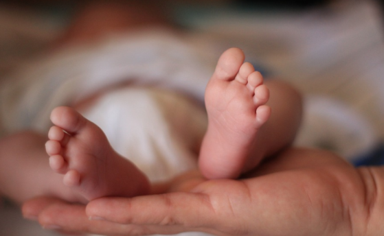Bébés nés sans bras en France : les parents pourraient ne jamais recevoir d'explications