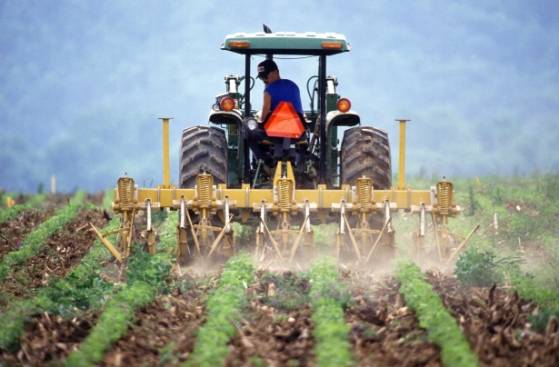 Paris, Lille, Nantes, Grenoble et Clermont-Ferrand interdisent l'utilisation de pesticides sur leur territoire