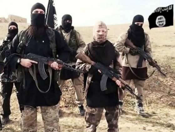 Le Danemark veut déchoir de leur nationalité les djihadistes partis combattre à l'étranger