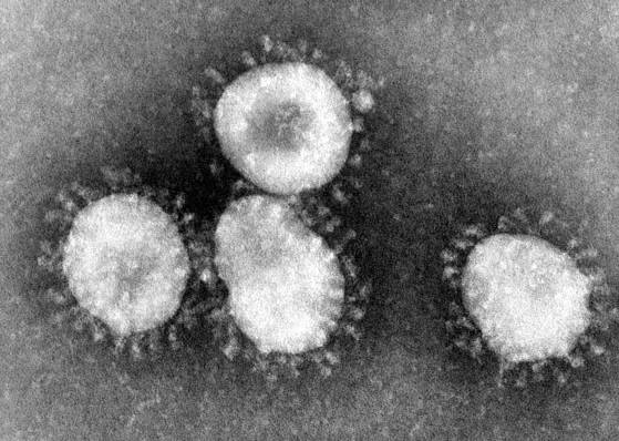 [VIDÉO] Coronavirus: un premier rapatriement de Français depuis la Chine prévu jeudi