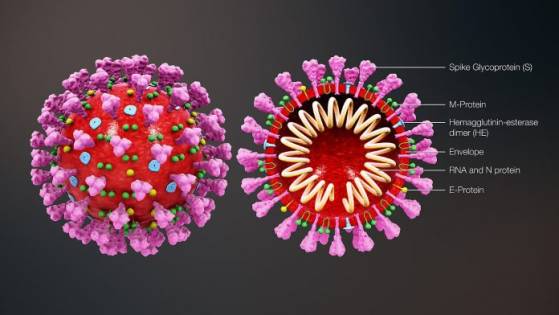 Un professeur de la Pitié-Salpêtrière fait part de ses inquiétudes au sujet de la psychose autour du coronavirus en France