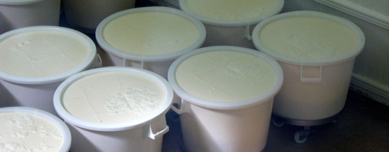 Offre en hausse, demande en baisse : le lait sur le feu - Pierre Bergerault