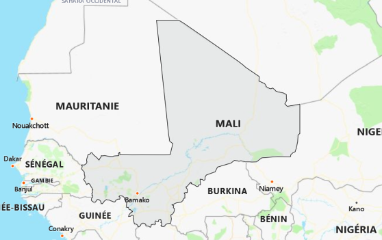 Mali : 25 soldats tués et six blessés dans une attaque attribuée à des djihadistes