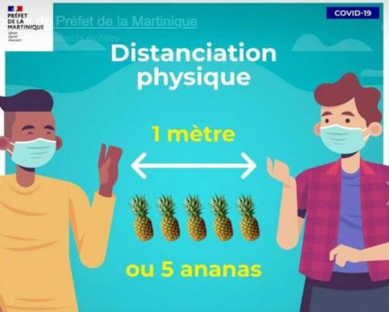 "1 mètre ou cinq ananas" : un tweet de la préfecture de Martinique voulant expliquer les règles de distanciation sociale retiré après avoir provoqué un tollé