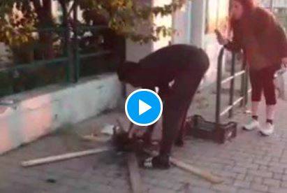 Italie: un migrant fait rôtir un chat en pleine rue à la vue de tous (Vidéo)