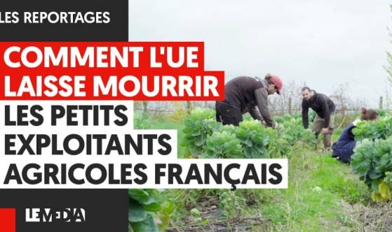 Comment l’Union Européenne laisse mourir les petits exploitants agricoles Français (Vidéo)