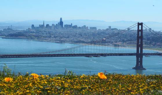 États-Unis: Les écoles de la ville de San Francisco vont bannir les acronymes car ils seraient un "symptôme de la suprématie blanche"