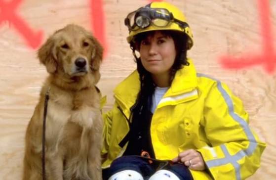 Hommage aux autres héros du 11 septembre : les chiens de sauvetage