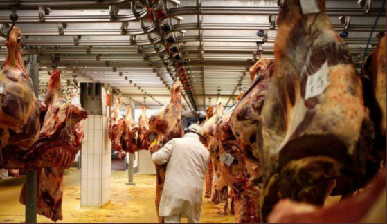Les industriels ne sont plus obligés d'indiquer l'origine de leur viande