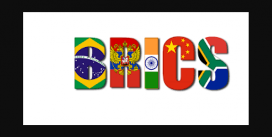BRICS : L'Arabie Saoudite, l'Egypte et la Turquie expriment leur intérêt pour une demande d'adhésion au groupe des pays émergents