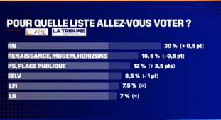Européennes 2024 : Le RN crédité de 30% des intentions de vote, loin devant la macronie et la gauche, selon un sondage