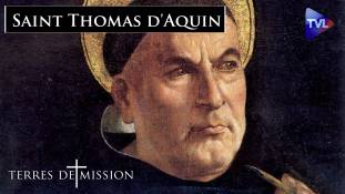 Terres de Mission n°308 - Saint Thomas d'Aquin : la contemplation du Mystère de Dieu