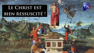 Terres de Mission n°356 - Le Christ est vraiment ressuscité : preuves et témoignages